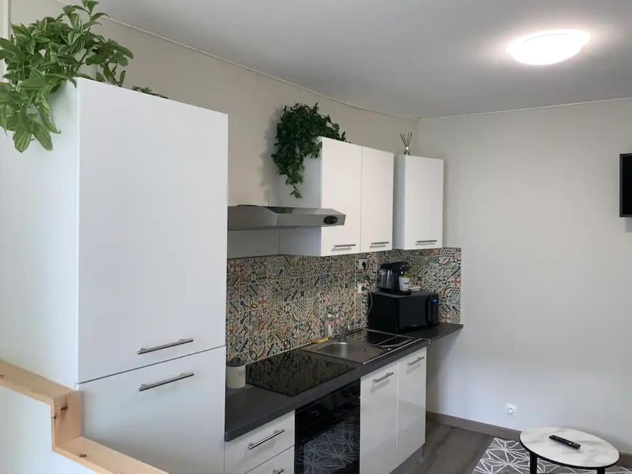 Le Cocon T2 Duplex 24 M2 Appartement